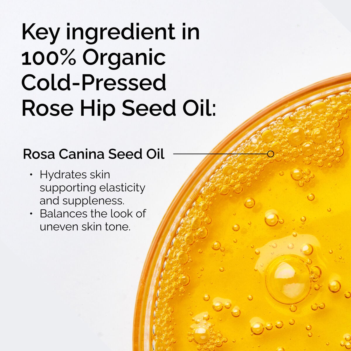100-organic-cold-pressed-rose-hip-seed-oil-h1 FY25-D41247-ORD-Web-PDP-100-Rose-Hip-Oil-1x1-EN-2.jpg