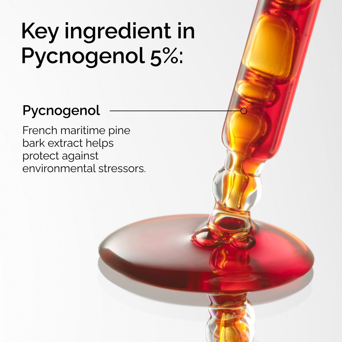 pycnogenol-5-z4 FY25-D41247-ORD-Web-PDP-Pyc-5pct-1x1-EN-2a.jpg