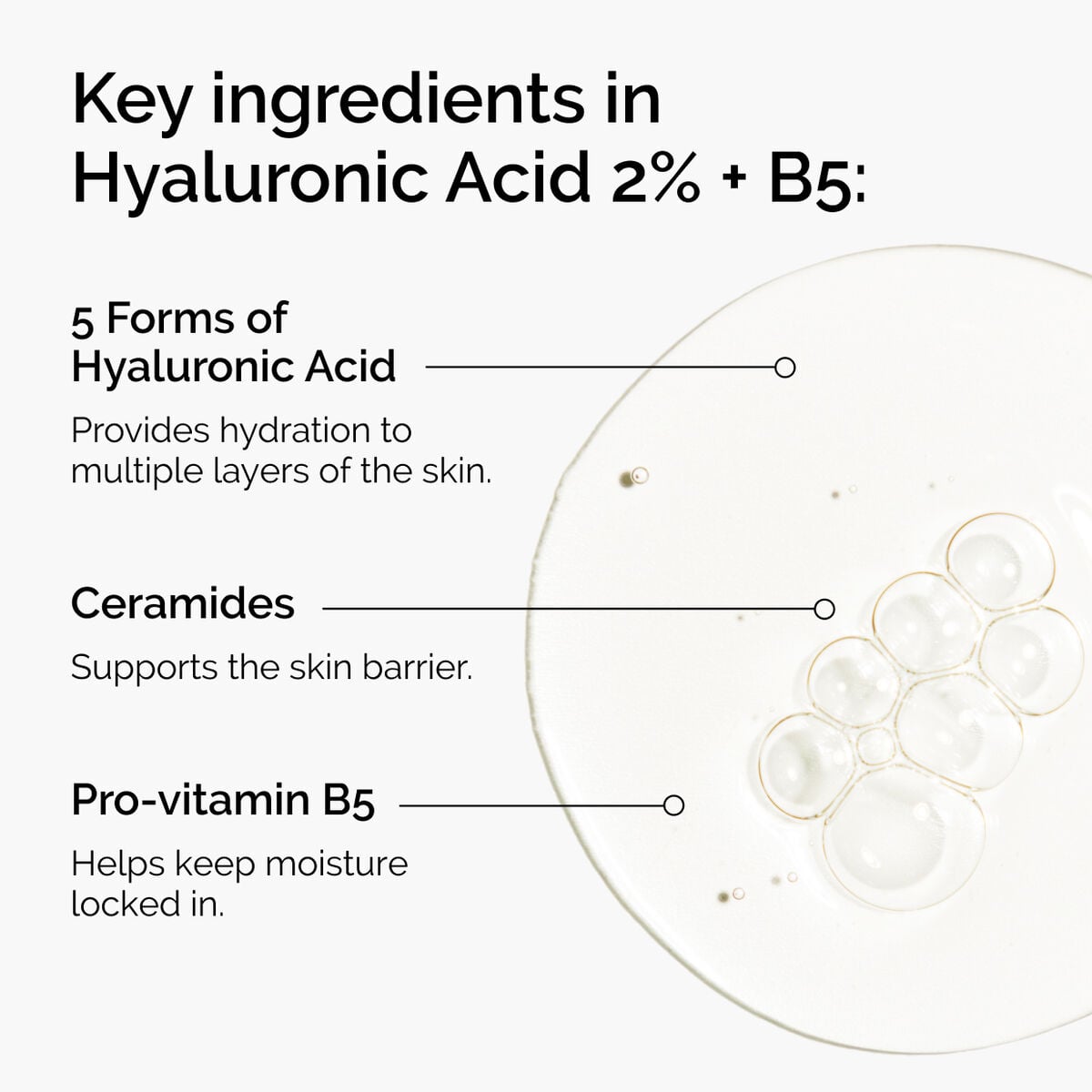 hyaluronic-acid-2-b5-with-ceramides-i8 ord-hyaluronic-acid-2pct-b5-hydrating-serum-ingredients-graphic.jpg