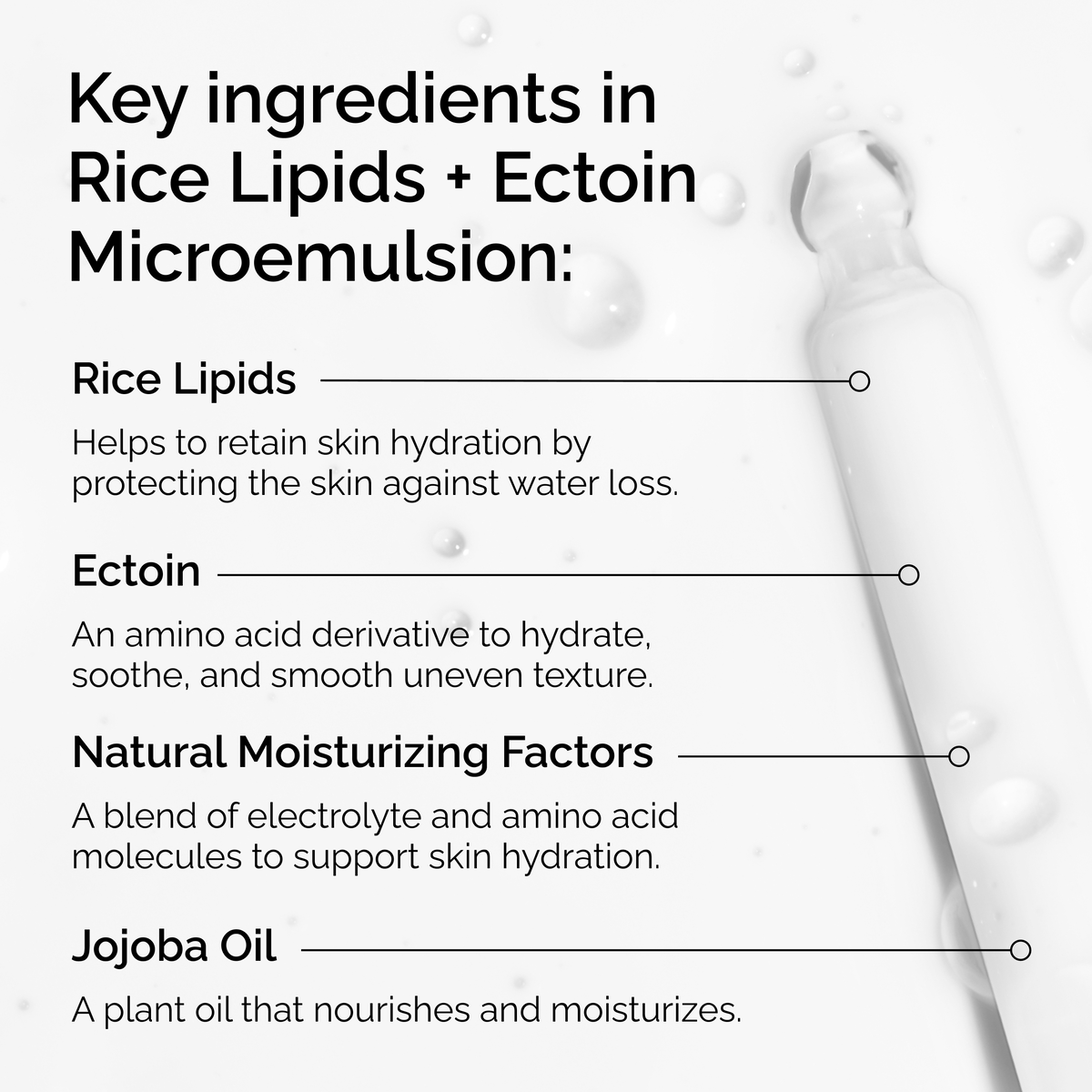 rice-lipids-ectoin-microemulsion-w7 ord-rice-lipids-ectoin-microemulsion-key-ingredients.png