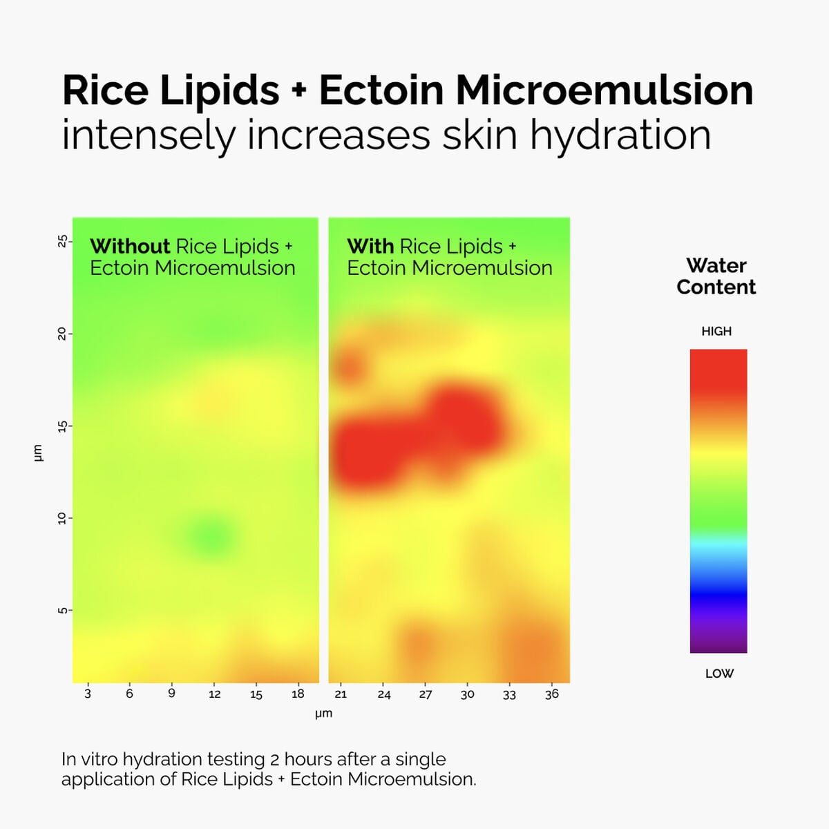 rice-lipids-ectoin-microemulsion-w7 ord-rice-lipids-ectoin-microemulsion-thermal-before-after.jpg